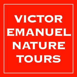 Click Here... Victor Emanuel